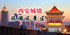 淫荡浪妇黑人群交中国陕西-西安城墙旅游风景区